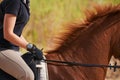 Jockey, horse and countryside for horseback riding in texas, rider and sport training for performance. Farm, rural and