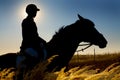 Jockey and horse silhouettes