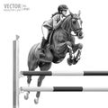 Jockey on horse. White Horse. Champion. Horse riding. Equestrian sport. Jockey riding jumping horse. Poster. Sport