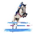 Jockey on horse. White Horse. Champion. Horse riding. Equestrian sport. Jockey riding jumping horse. Poster. Sport