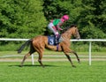 Jockey Oisin Murphy riding Fashion Free