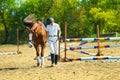 Jockey with purebred horse Royalty Free Stock Photo