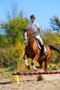 Jockey with purebred horse Royalty Free Stock Photo