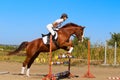 Jockey with purebred horse Royalty Free Stock Photo