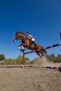 Jockey with purebred horse Royalty Free Stock Photo