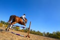 Jockey with purebred horse Royalty Free Stock Photo