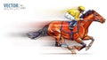 Jockey on racing horse. Champion. Hippodrome. Racetrack. Horse riding. Vector illustration. Derby. Speed. Blurred