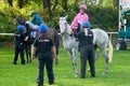 Rhiain Ingram apprentice horse racing jockey. Royalty Free Stock Photo