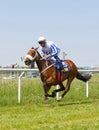 Jockey riding a arabian gallop race horse at the race track Royalty Free Stock Photo