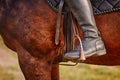 Jockey riding boot, horse saddles and stirrups Royalty Free Stock Photo