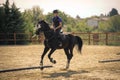 Jockey riding a fast thoroughbred horse Royalty Free Stock Photo