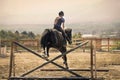 Jockey riding a fast thoroughbred horse Royalty Free Stock Photo