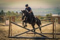 Jockey riding a fast thoroughbred horse Royalty Free Stock Photo