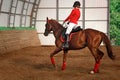Jockey riding a horse gait Royalty Free Stock Photo