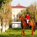 Jockey riding a horse gait Royalty Free Stock Photo