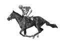 Jockey riding race horse - realistic vector