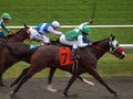 Jockey stretches arm to whip horses