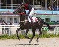 Jockey Timur Guseinov on raven stallion Faiz Royalty Free Stock Photo