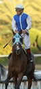 Jockey Victor Espinoza Aboard Setsuko Royalty Free Stock Photo