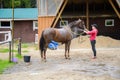 Jockey washes the horse with water.