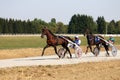 Jockeys and horses harness racing Royalty Free Stock Photo