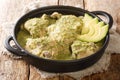 Jocon Guatemalan Chicken stew in Green Sauce close up in the plate. Horizontal