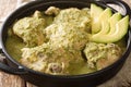 Jocon Recipe Guatemalan Chicken in Salsa Verde with fresh avocado close up in the plate. Horizontal