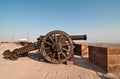 Jodhpur fort cannon