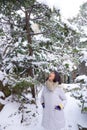 Jodoshu Shinzenko Temple - Ancient Temple built in 1884 in Susukino City, Hokkaido