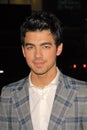 Joe Jonas Royalty Free Stock Photo
