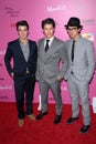 Joe Jonas,Kevin Jonas,Nick Jonas Royalty Free Stock Photo