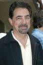 Joe Mantegna