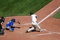 Joe Mauer knocks one out of the park. Royalty Free Stock Photo