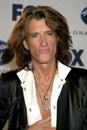 Joe Perry