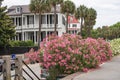 Joe Riley Waterfront Park. Landscape with historic building and blooming flowers in the park.