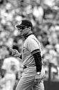 Joe Torre New York Yankees Royalty Free Stock Photo