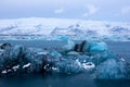 Joekulsarlon (JÃÂ¶kulsÃÂ¡rlÃÂ³n), Iceland