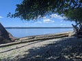 Joemma Beach State Park in Longbranch, WA, on a bright sunny day