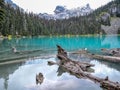 Joffre Lake Royalty Free Stock Photo