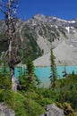 Joffre Lakes Provincial Park Royalty Free Stock Photo