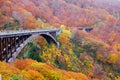 Jogakura Bridge in Autumn , A wonderful view of Jyogakura-keiryu Stream