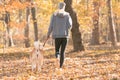 Jogger and akita dog outdoors. Sport and healthy concept