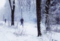 Jogging under a snow storm in winter Royalty Free Stock Photo