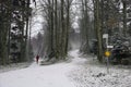 Jogger in wintry forest