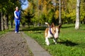 Jogging With Dog
