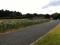 Walkway park side garden autumn