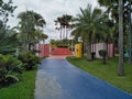 Jogging street with green lawn and palm trees in the park.