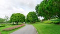 Jogging track in garden of public park among greenery trees, flower shrub and bush, black asfalt concrete walkway Royalty Free Stock Photo