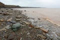 Joggins Fossil Cliffs, Nova Scotia, Canada