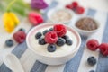 Joghurt with granola Royalty Free Stock Photo